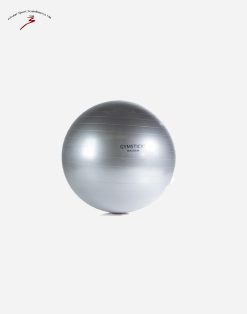 Fitness Boll