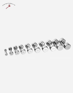 Hantlar Chrome